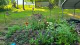 2563 Distillery Rd - Photo 46