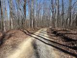 71 Sunbeam Lake Loop Road - Photo 11