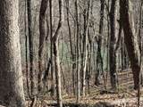 71 Sunbeam Lake Loop Road - Photo 7