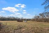 71 Blue Ridge Trce - Photo 64