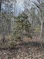 0 Raulston Falls Road - Photo 21