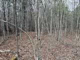 0 Raulston Falls Road - Photo 29