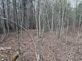 0 Raulston Falls Road - Photo 30
