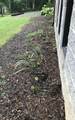 80 Tanya Ln - Photo 69