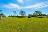 795 White Rd - Photo 7