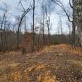 584 Back Bone Rd - Photo 1