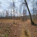 584 Back Bone Rd - Photo 11