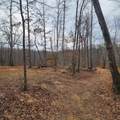 584 Back Bone Rd - Photo 12