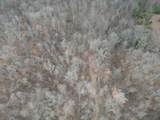 584 Back Bone Rd - Photo 6
