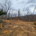 584 Back Bone Rd - Photo 9
