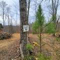 584 Back Bone Rd - Photo 10