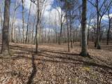 0 Daniel Rd - Photo 1