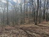 0 Daniel Rd - Photo 3