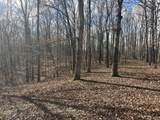 0 Daniel Rd - Photo 4