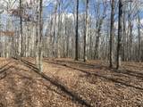 0 Daniel Rd - Photo 5