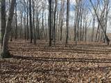 0 Daniel Rd - Photo 6