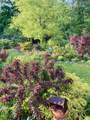 6781 Pleasant Gate Ln - Photo 39