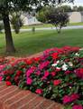 97 Weathers Ave - Photo 4