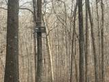 323 Graham Rd - Photo 23