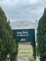 7359 Carothers Rd - Photo 40