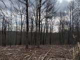 11 South Pittsburg Mountain Road - Photo 6