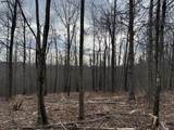 11 South Pittsburg Mountain Road - Photo 8