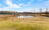4591 Pineywoods Rd - Photo 50