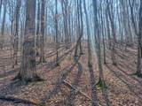 375 Roanoke Creek Rd - Photo 30