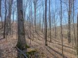 375 Roanoke Creek Rd - Photo 36