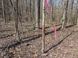 375 Roanoke Creek Rd - Photo 37