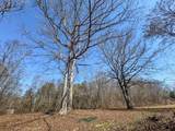 375 Roanoke Creek Rd - Photo 9