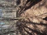 0 Crockett Point - Photo 43