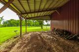 1113 E Robertson Rd - Photo 16