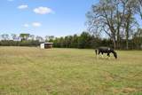 4041 Kelley Farris Rd - Photo 51