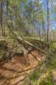 3467 Shouse Rd - Photo 39