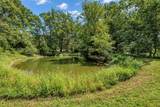 1665 Palmer Rd - Photo 42