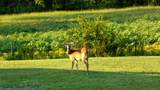 1665 Palmer Rd - Photo 45