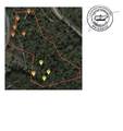 0 Davis Hollow Rd - Photo 2