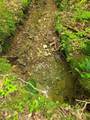 0 Davis Hollow Rd - Photo 8