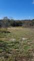 0 Briana Rd - Photo 5