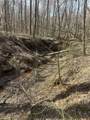 0 Mount Carmel Rd - Photo 4
