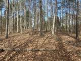 0 Mount Carmel Rd - Photo 6