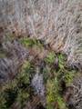 500 Highway 96 - Photo 14