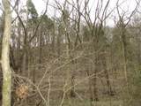 0 Rogues Fork Creek Road - Photo 3
