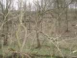 0 Rogues Fork Creek Road - Photo 4