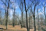 1041 Old Mount Vernon Rd - Photo 45