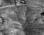 2172 Airport Ridge Rd - Photo 12