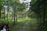 2825 Oregon Road - Photo 4
