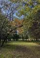 2825 Oregon Road - Photo 59