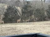 990 E Piney Rd - Photo 6